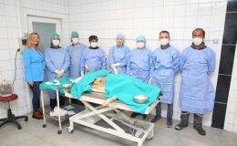 Nilüfer’de sahipsiz can dostlar kısırlaştırılıyor