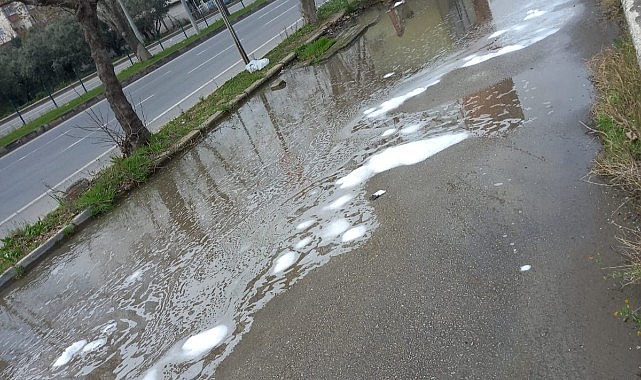 Mudanya’da zehirli su paniği