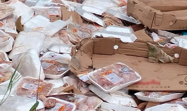 Hayvanseverleri ayağa kaldıran görüntüler! Kilolarca tavuğu ormana attılar