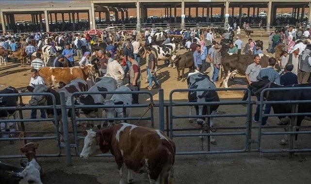 2023 yılı kurban fiyatları