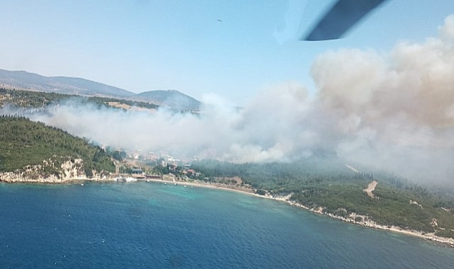 İzmir’de orman yangını!