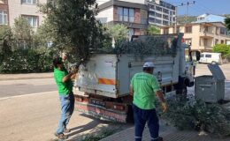 Park ve Bahçeler Ekipleri İş Başında