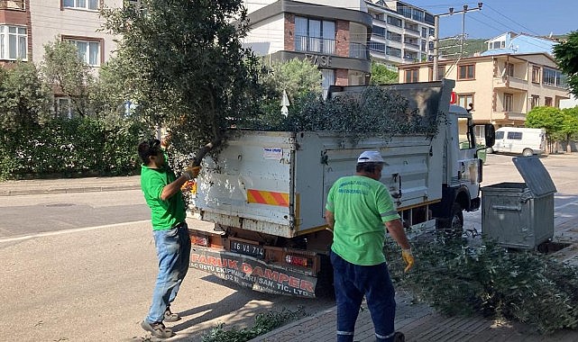 Park ve Bahçeler Ekipleri İş Başında