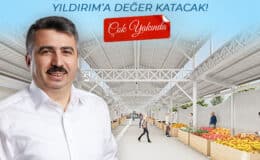 Ağaç katliamı TBMM’ye taşınıyor