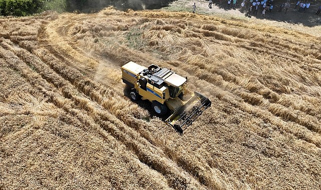 Mudanya Belediye’sinden topraktan halka,tarladan sofraya buğday unu