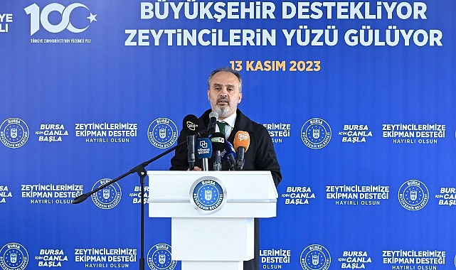 Bursa’nın zeytininde hasat vakti