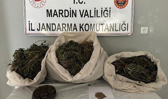 Mardin’de uyuşturucu operasyonu! 7 kişi tutuklandı