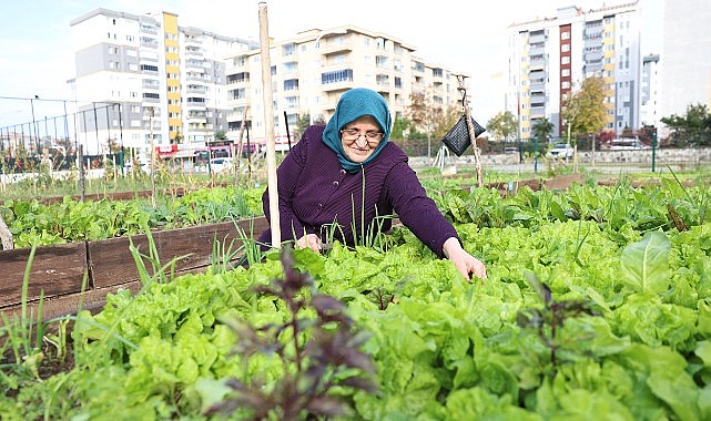 TARIMDA ‘MAHALLE’ SEFERBERLİĞİ