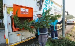 Ağaç dalları gübreye dönüşüyor