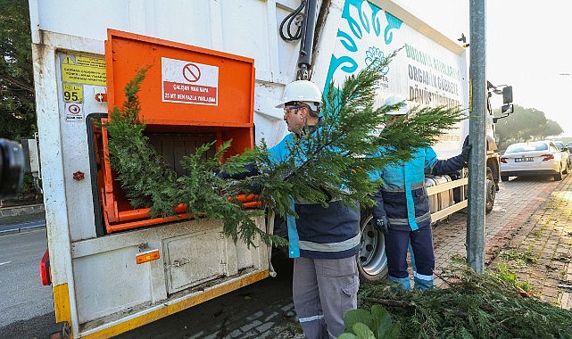 Ağaç dalları gübreye dönüşüyor
