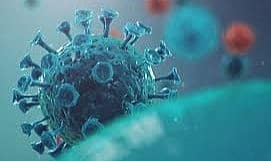 Aile Hekimleri: “İnfluenzadaki artış dikkat çekici boyutlarda, maske kullanılması çok önemli”