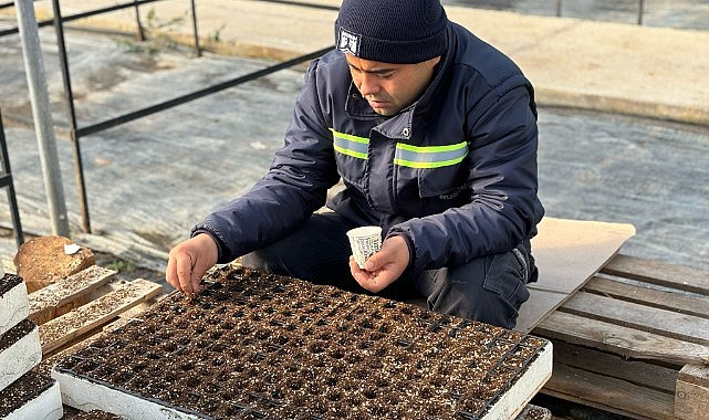 Bodrum Belediyesi’nden Atalık Tohum Ekimi