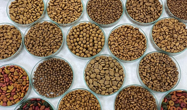 Kedi köpek maması ihracatı 10 yıl içerisinde 27 katına çıktı