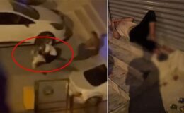 Evden kaçan pitbull dehşet saçtı!