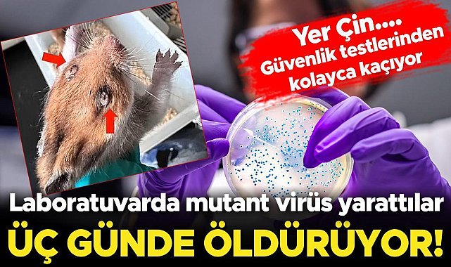 Çinli bilim insanları mutant ebola virüsü yarattı