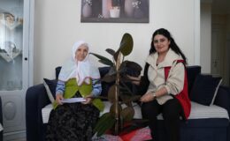 Gürsulu annelere Başkan Işık’tan anlamlı mesaj