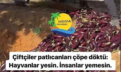 ‘Hayvanlar yesin, insanlar yemesin