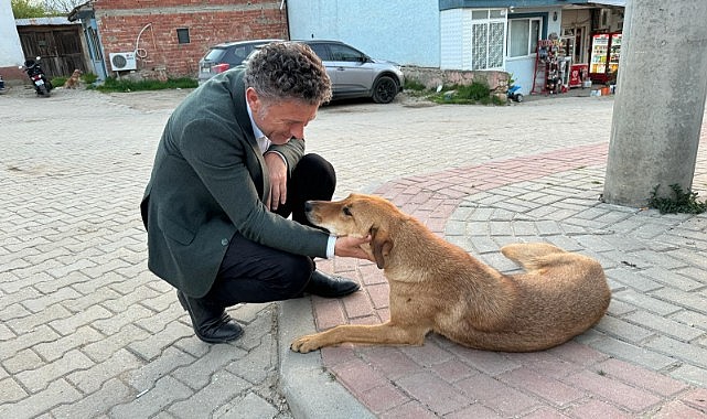 Orhan Sarıbal: Yaşamdan, yaşatmadan yana duracağım