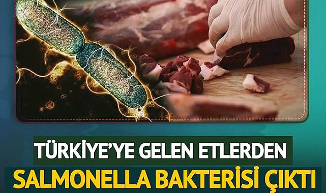 Türkiye’ye gelen 20 ton etten bakteri çıktı!