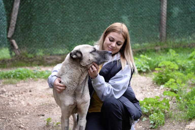 Başkan Erkan Aydın: “Hayvanlar uyutulmasın, sahiplendirilsin”