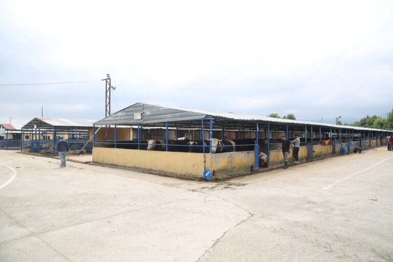 Nilüfer Kurban Bayramı’na hazır