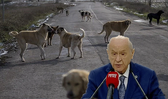 Bahçeli’den yeni yasaya tepki!