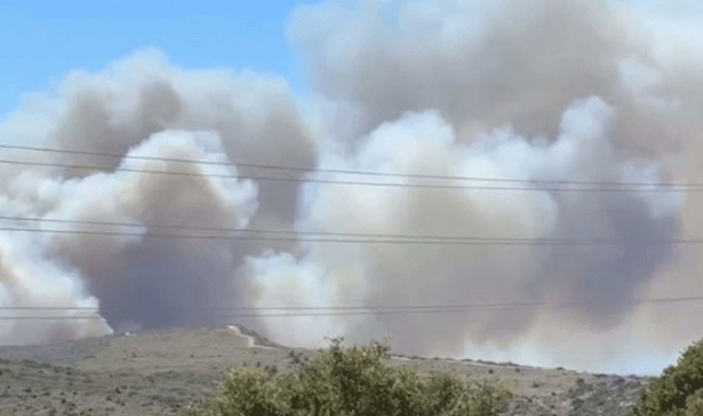 Çeşme’de orman yangını!