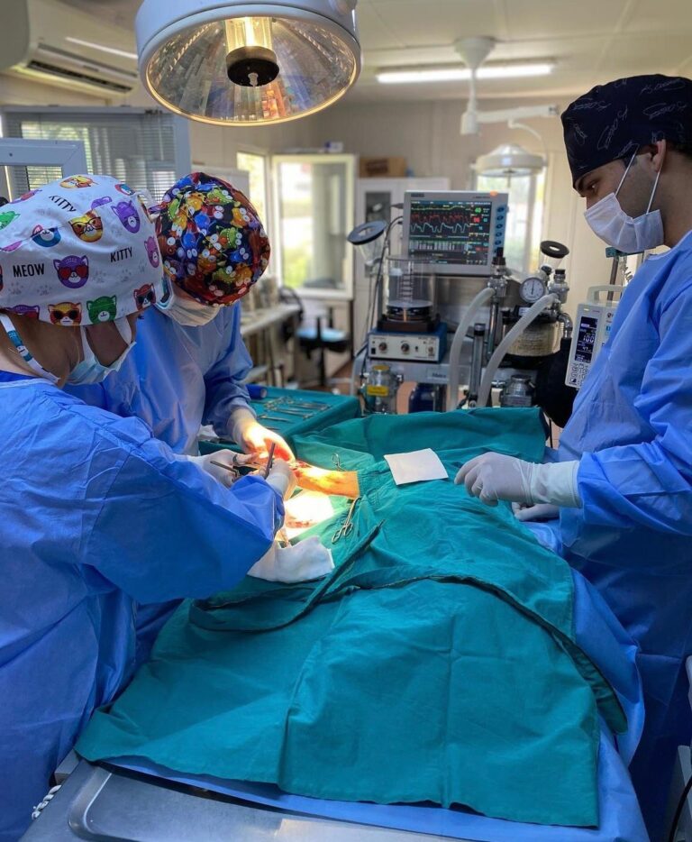 En fazla sokak hayvanını Osmangazi Belediyesi kısırlaştırdı