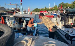 İYİ Partili Mehmet Aslan’dan mavi bayrakların indirilmesine tepki