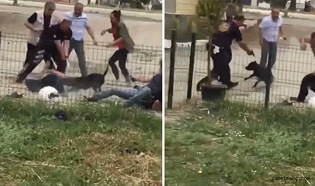 Polis silahını kullanmak zorunda kaldı