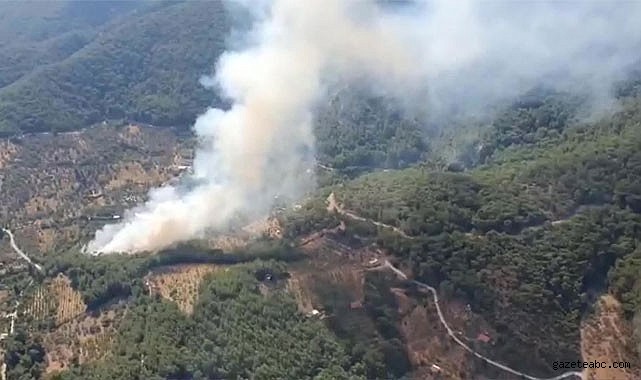 İzmir Kemalpaşa’da Orman Yangını