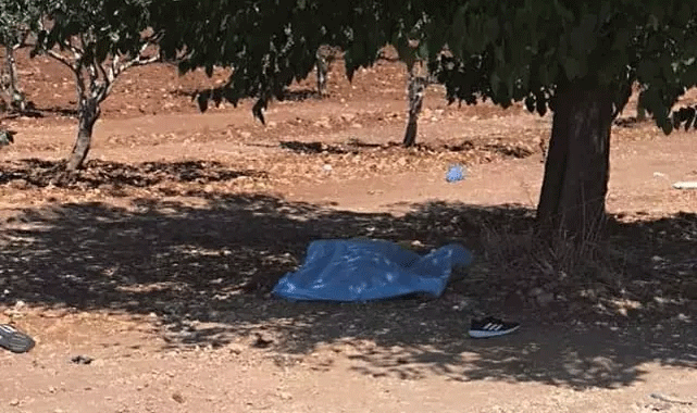 Şanlıurfa’da Fıstık Bahçesinde Öğretmen Cinayeti