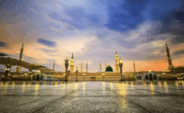 Suudi Arabistan dededen kalma araziye çöktü