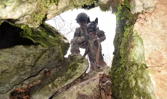 TSK’nın eğitimli köpeklerinden büyük başarı