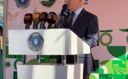 BBB tarafından Zeytin Fidanı Dikim Etkinliği Gerçekleşti