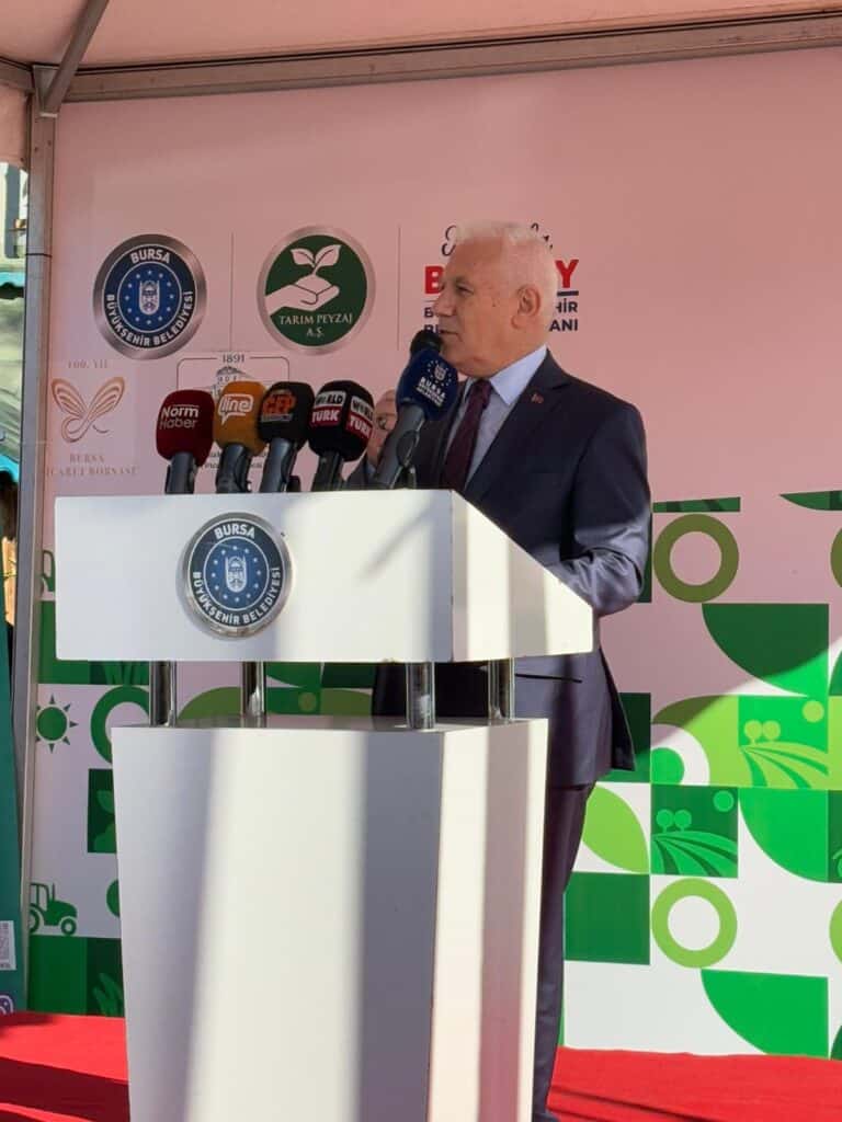 BBB tarafından Zeytin Fidanı Dikim Etkinliği Gerçekleşti