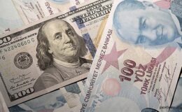 Dolar/TL Fiyatlarında Yükseliş