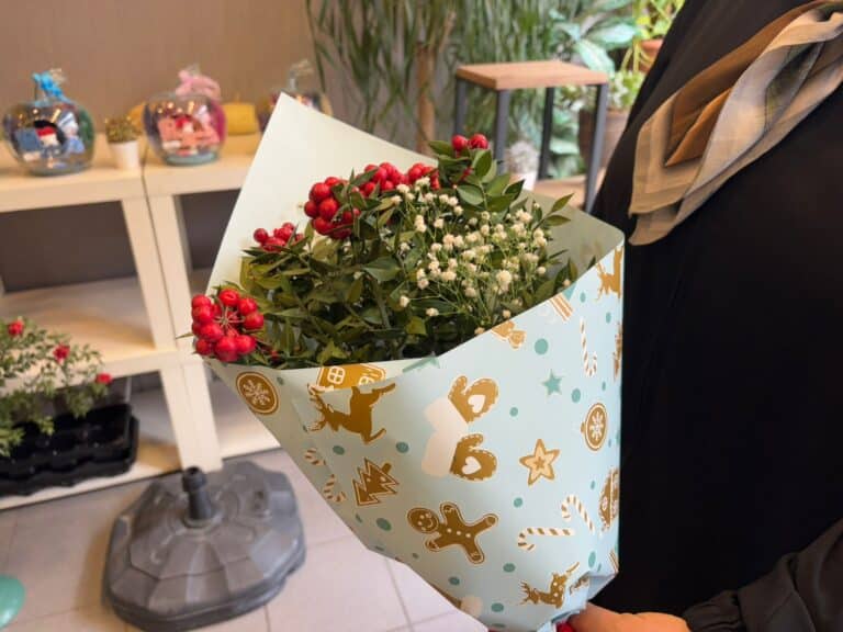 Kış Aylarının Renkli Simgesi