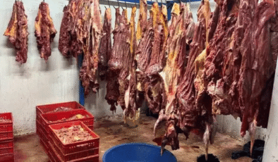 Adana’da Sağlıksız Kırmızı Et Operasyonu