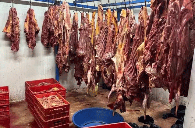 Adana’da Sağlıksız Kırmızı Et Operasyonu