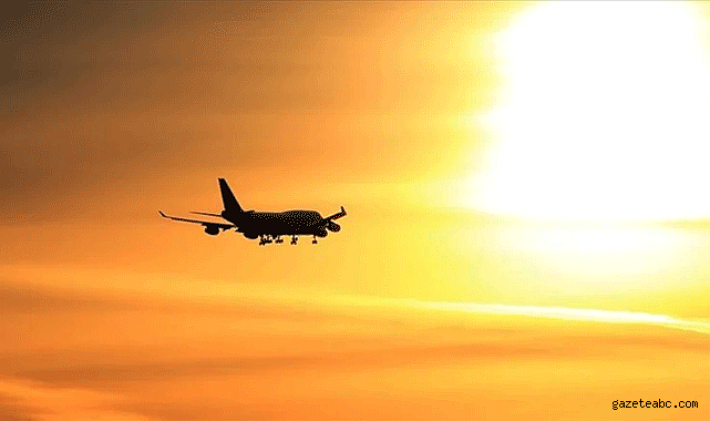 Gıda Zehirlenmesi İhtimaliyle Air India Uçuşu Krizi
