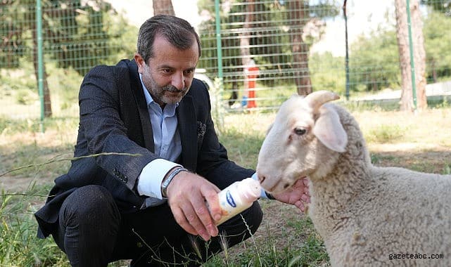 Gürsu’ya butik hayvanat bahçesi