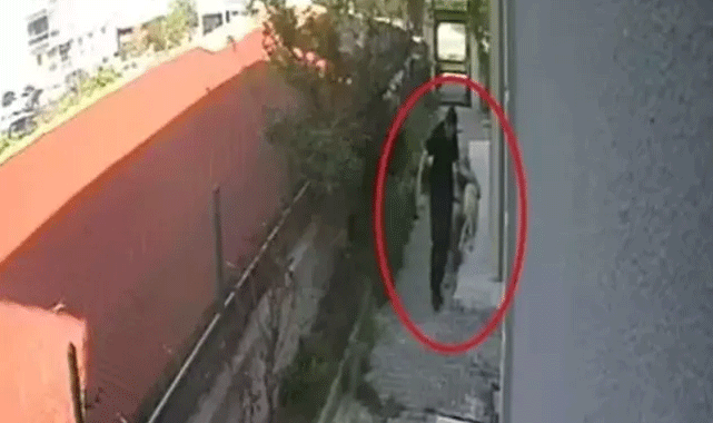 Hayvanseverleri Ayağa Kaldıran Olayda Yeni Perde