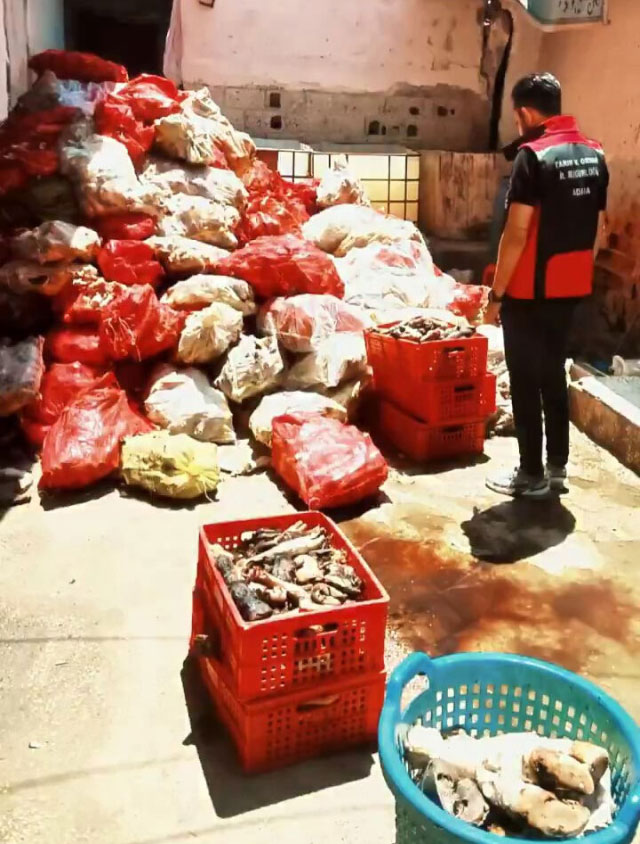 5 Tonluk Hijyen Skandalı!