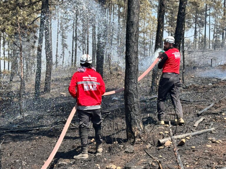 Harmancık'ta Ciğerlerimiz Yanmaya Devam Ediyor