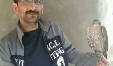 Hatay’da Miras Kavgası