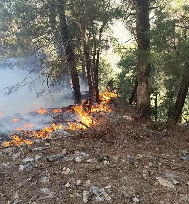 Orman Kundakçıları İHA'dan Kaçamadı