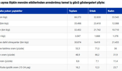 TÜİK işsizlik rakamlarını açıkladı
