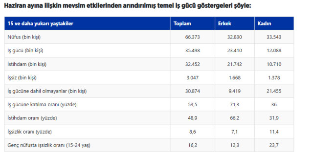 TÜİK işsizlik rakamlarını açıkladı