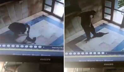 Kediyi vahşice öldüren caninin ifadesi ortaya çıktı